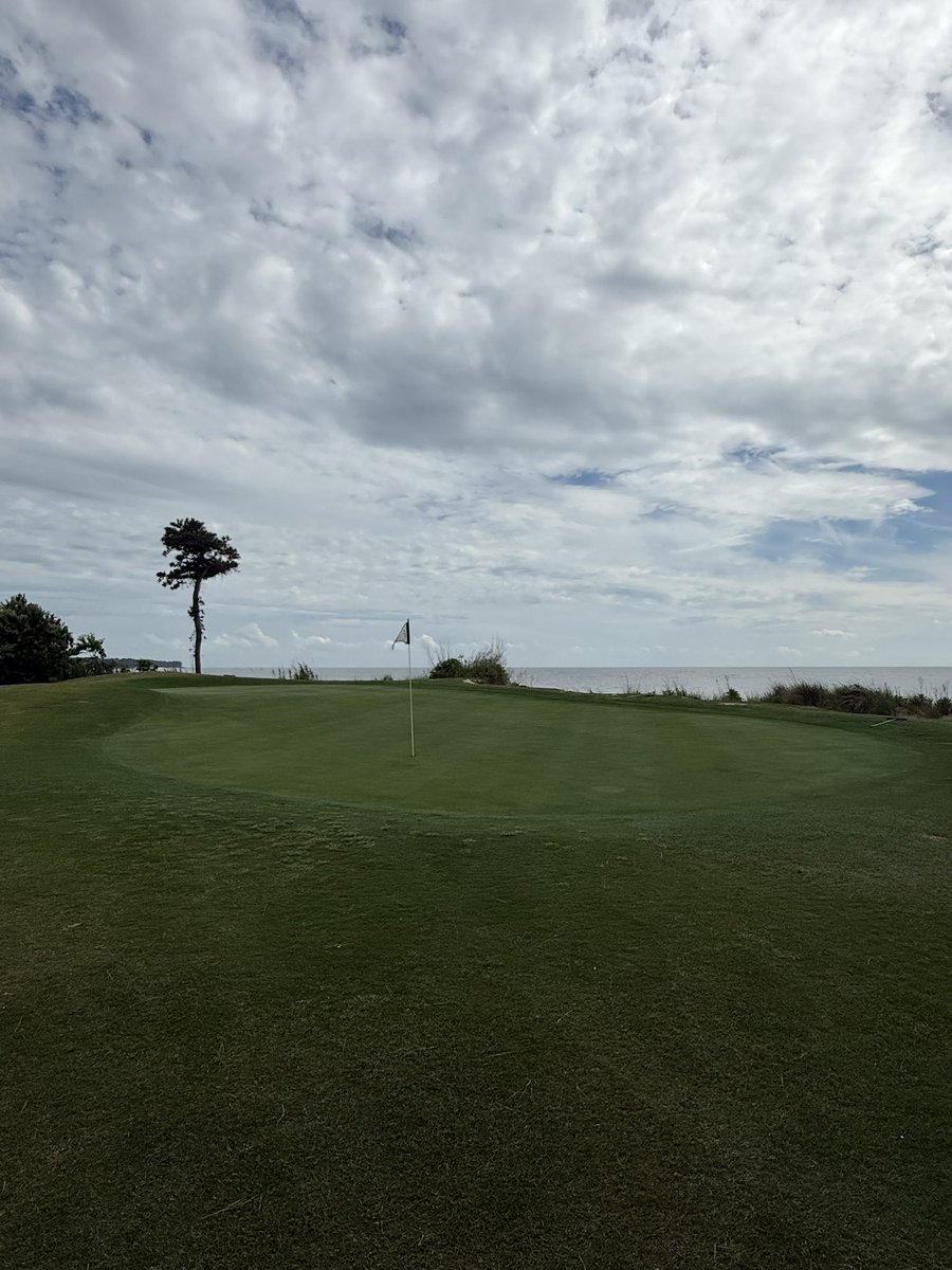 Plisken2112's tweet photo. Out for some more quality control this afternoon! Actually cut some grass on fairways this morning, things are shaping up! #esva #baycreek #nature #wildlife https://t.co/LVwz7GDF9b