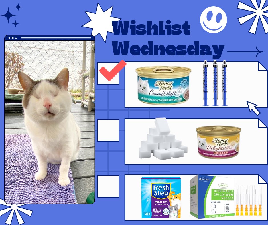 BlindCatRescue's tweet photo. It's Wishlist Wednesday! Please consider helping the blind, FIV & FeLV+ cats at BCR by purchasing something from one of our wishlists! 😺🐾
Amazon: https://t.co/Ou6tw4E1ZS
Chewy: https://t.co/JcrJLaYrsm
Target: https://t.co/IdHYUcMjyK
Walmart: https://t.co/FnltMyzo06 
Thank you so much! 💙