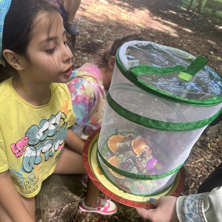 WPSCoolidge's tweet photo. First grade released their butterflies!🦋 https://t.co/e6mGJ9Ywfj