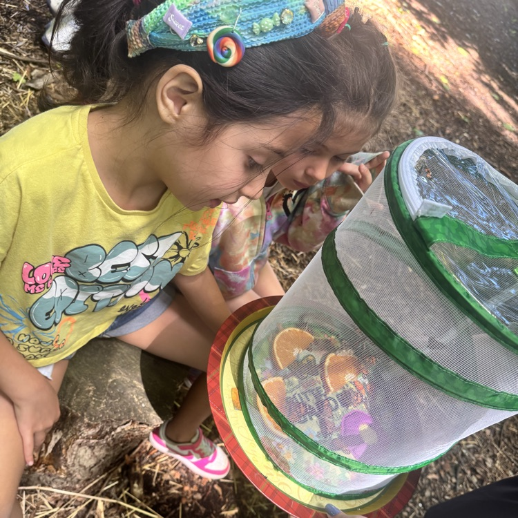 WPSCoolidge's tweet photo. First grade released their butterflies!🦋 https://t.co/e6mGJ9Ywfj
