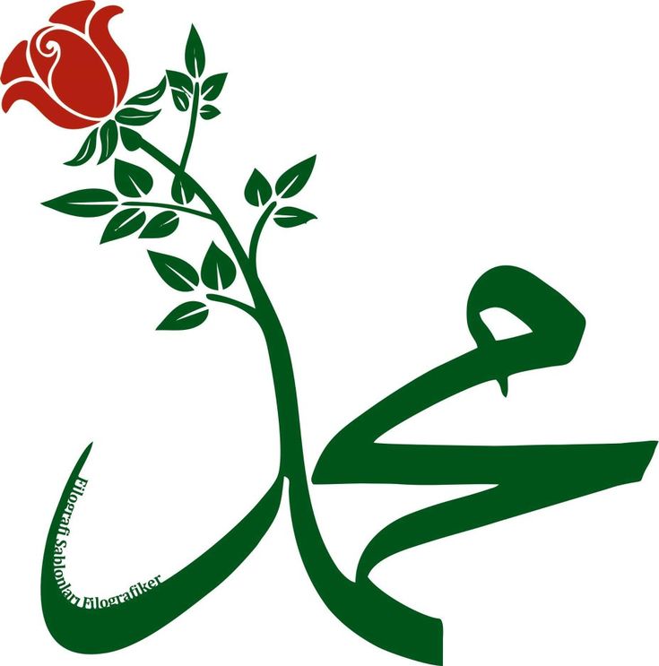 Sultanimli's tweet photo. Adın anılınca nur dolar gönül evleri.  
Gelişinle aydınlandı karanlık bu yeryüzü,  
Sen varsın ya ümmetin, buldu hakikat özü.
Gül yüzüne hasretle yanar bu gönüller. 
Bir bakışın yeter ki, dağılır keder.

❤️‍🔥🌹(S.a.v)🌹❤️‍🔥 https://t.co/TTyqI7zVjh