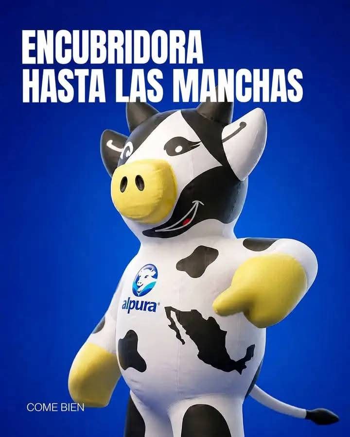 PedroBadillo12's tweet photo. @alpuraoficial @MonteagudoMilaa https://t.co/fxFVOyrT40