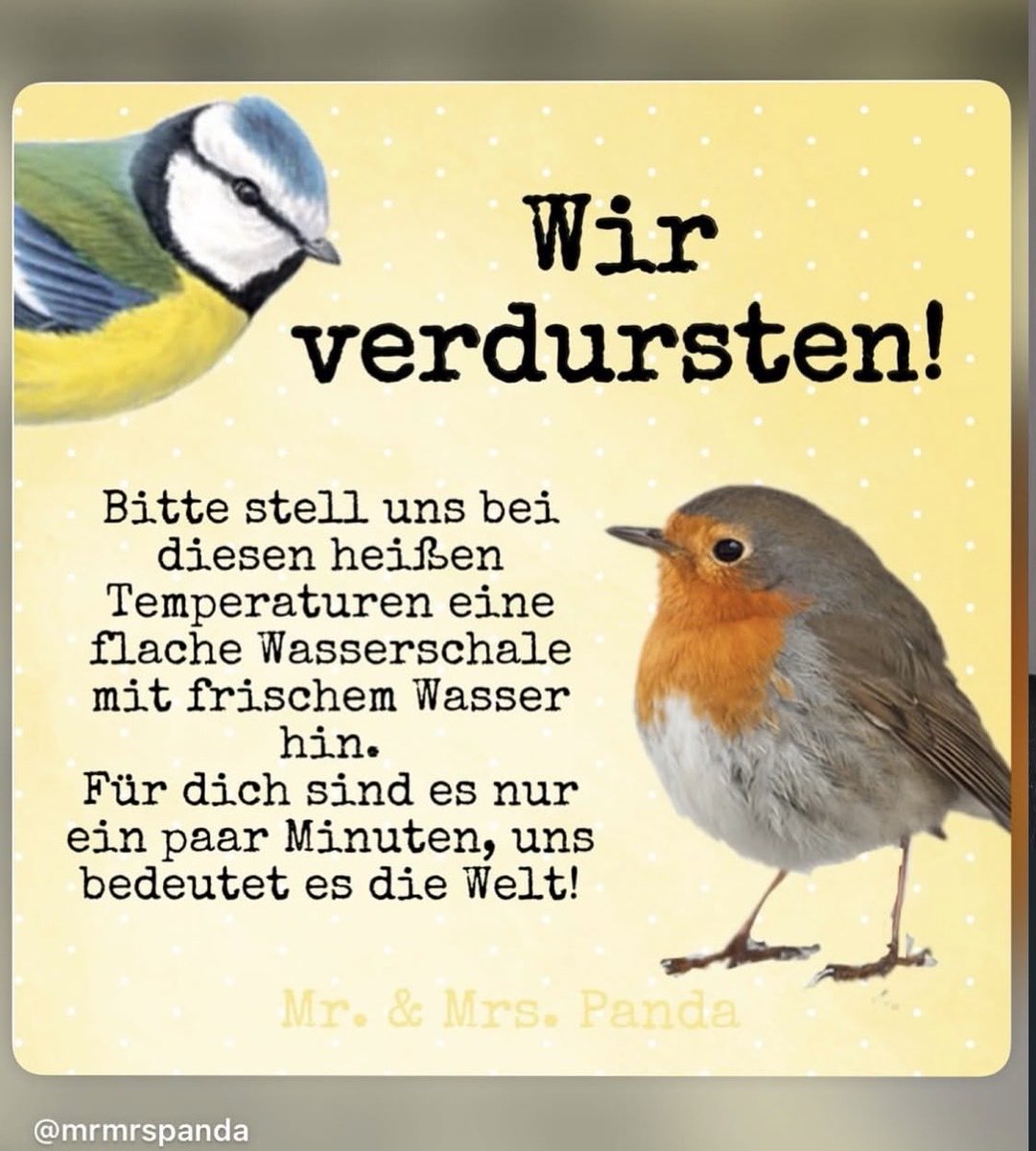 OrthopaeDenker tweet media