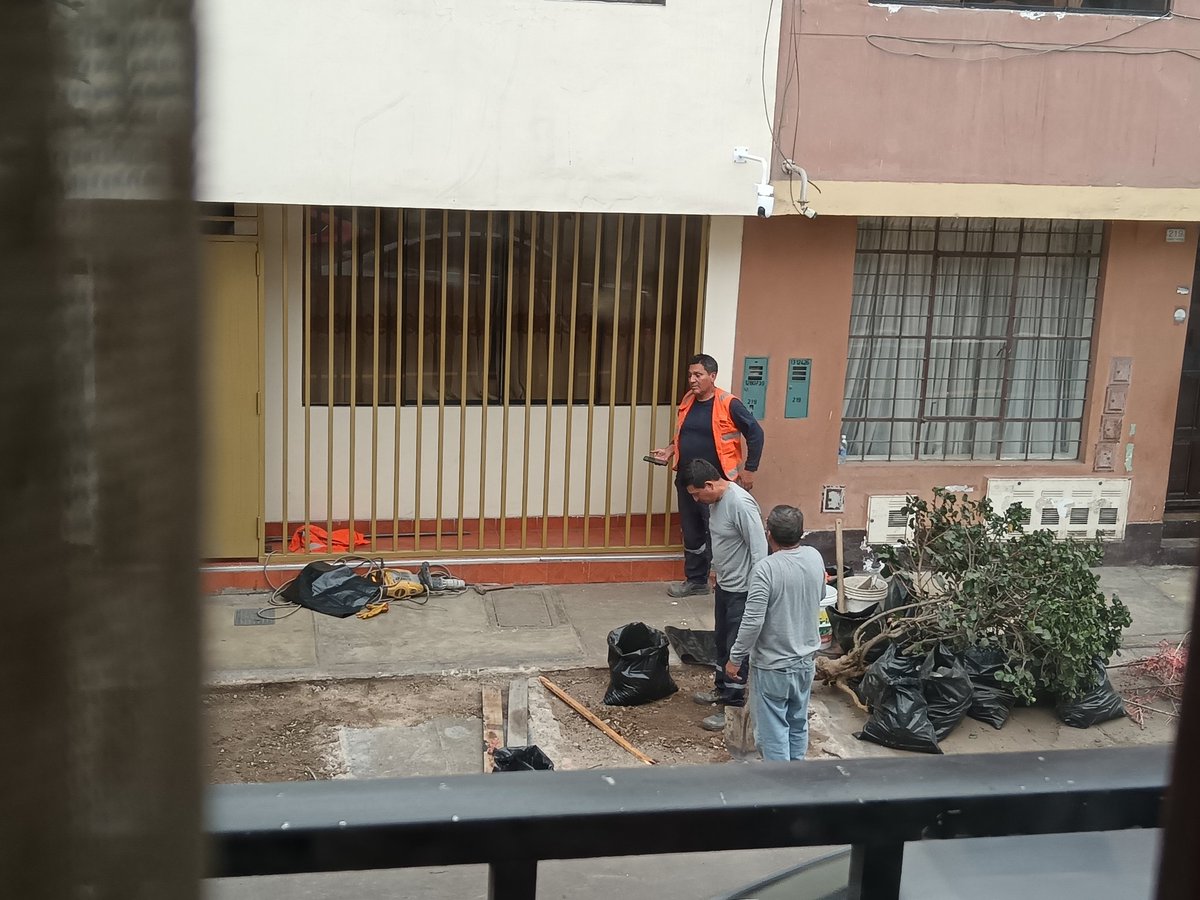 Diaxia1's tweet photo. @MuniLima La Victoria. Lugar donde prefieren el cemento a las áreas verdes.  En la Urb Apolo se llevan los autos q a veces uno deja por momentos en la puerta de tu casa, llega la grúa tal cual ladron..ahora tienes que sacar tu jardín y llenarla de cemento..GRAN ALCADE ja.. El peor de todos https://t.co/ikm6Nd22XZ