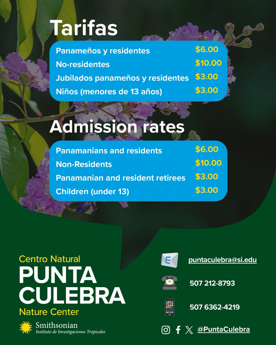 PuntaCulebra's tweet photo. La próxima semana es de receso escolar… ¡y Punta Culebra lo sabe! 😃🙌
Tendremos horario especial del martes 2 al domingo 7 de junio:
🕘 9:00 a.m. a 5:00 p.m. (cierre de taquilla a las 4:00 p.m.)
Además, contaremos con actividades especiales el miércoles, viernes y sábado.☀️🐦🦥 https://t.co/ZvREMxpAU6