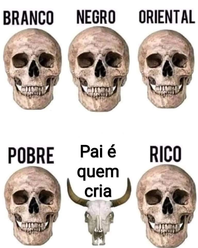 ademir_corno tweet media