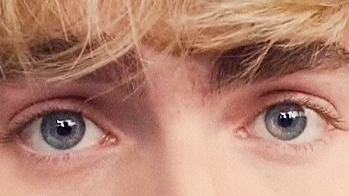 gabispics's tweet photo. ocean eyes ｡𖦹°‧ 🌊 ⋆˚࿔ https://t.co/aO1CYNdFQS