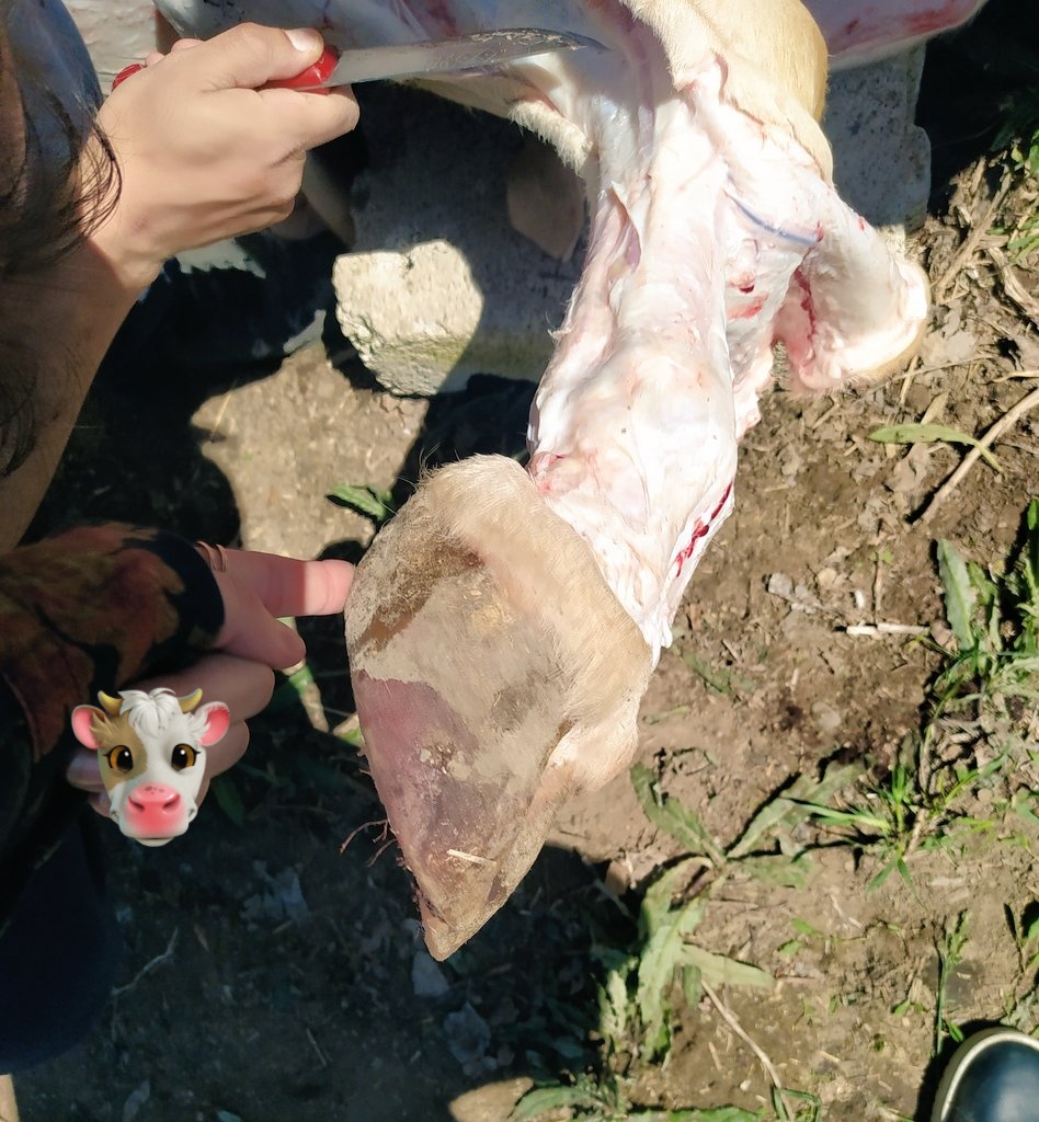 birhuma's tweet photo. Kimse kurbana yardım etmediğimi söyleyemez https://t.co/fIa90SxAyn