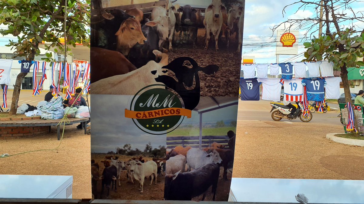 Ferias MAG tweet media