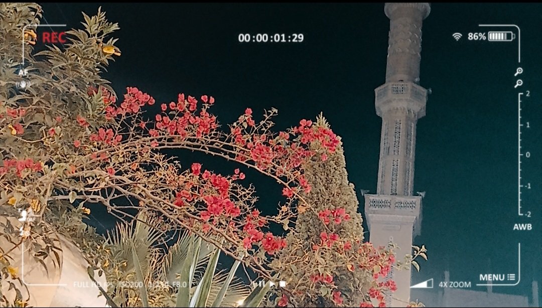🇵🇸 سُو هَايلة tweet media