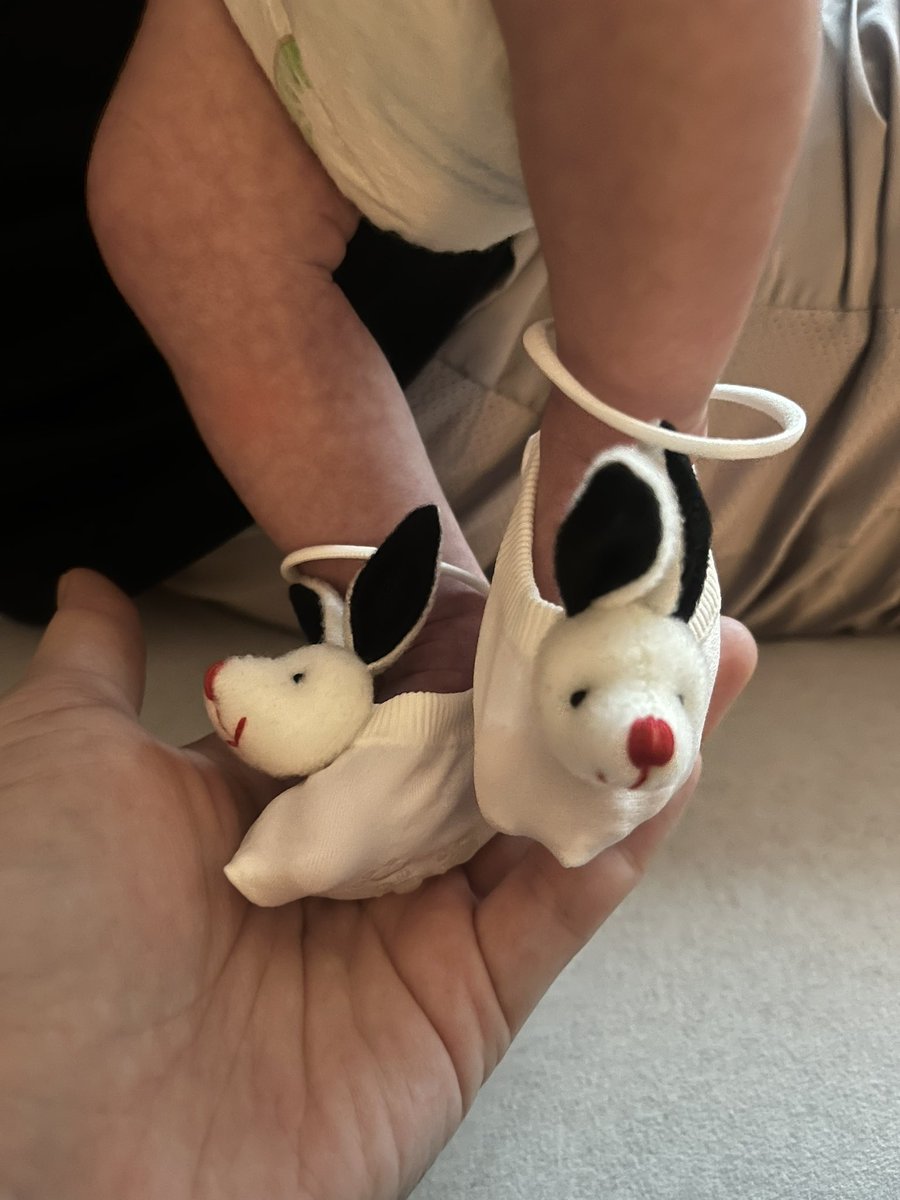 푸홀스님 tweet media