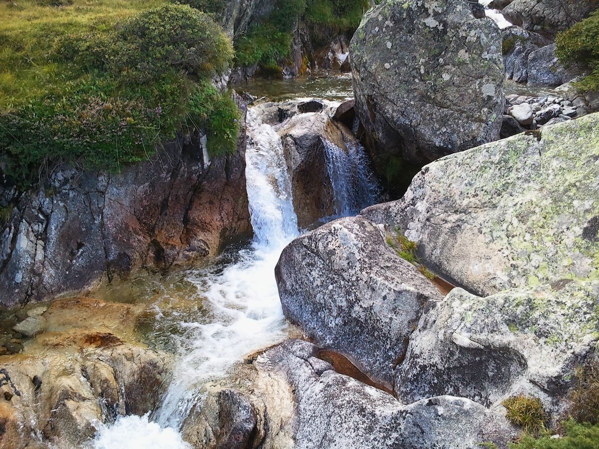 AxelleSimpere's tweet photo. Ouvrez grand les yeux sur ce qui vous entoure, savourez chaque instant passé dans la nature.
Le monde déborde de beauté, de surprises et de merveilles, bien plus que tous les rêves que l'on fabrique, que l'on génère, ou que l'on achète...

(P.S : Passez le message aux enfants.🌿) https://t.co/Wmzva9CxUV