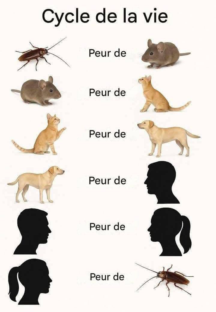 Bouakoikai1's tweet photo. C'est le cycle de la vie https://t.co/czIOJasuEM