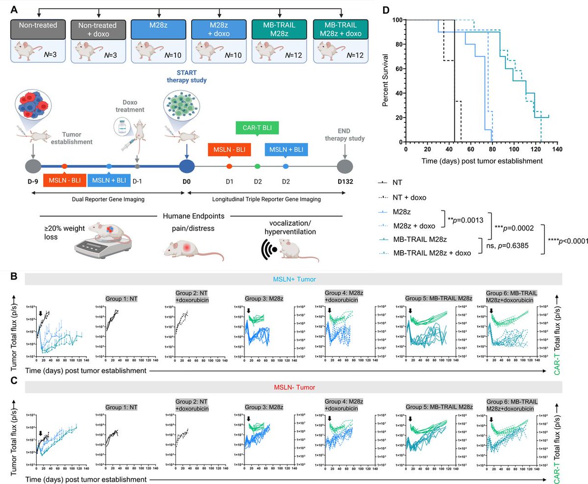 Journal for ImmunoTherapy of Cancer tweet media
