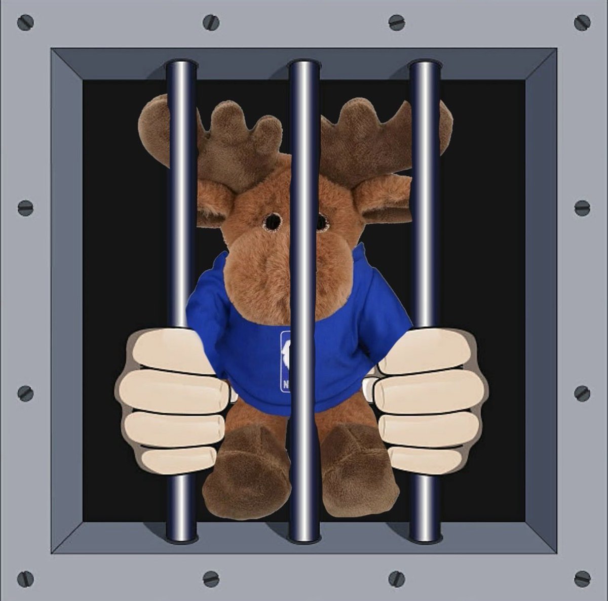 Moose tweet media