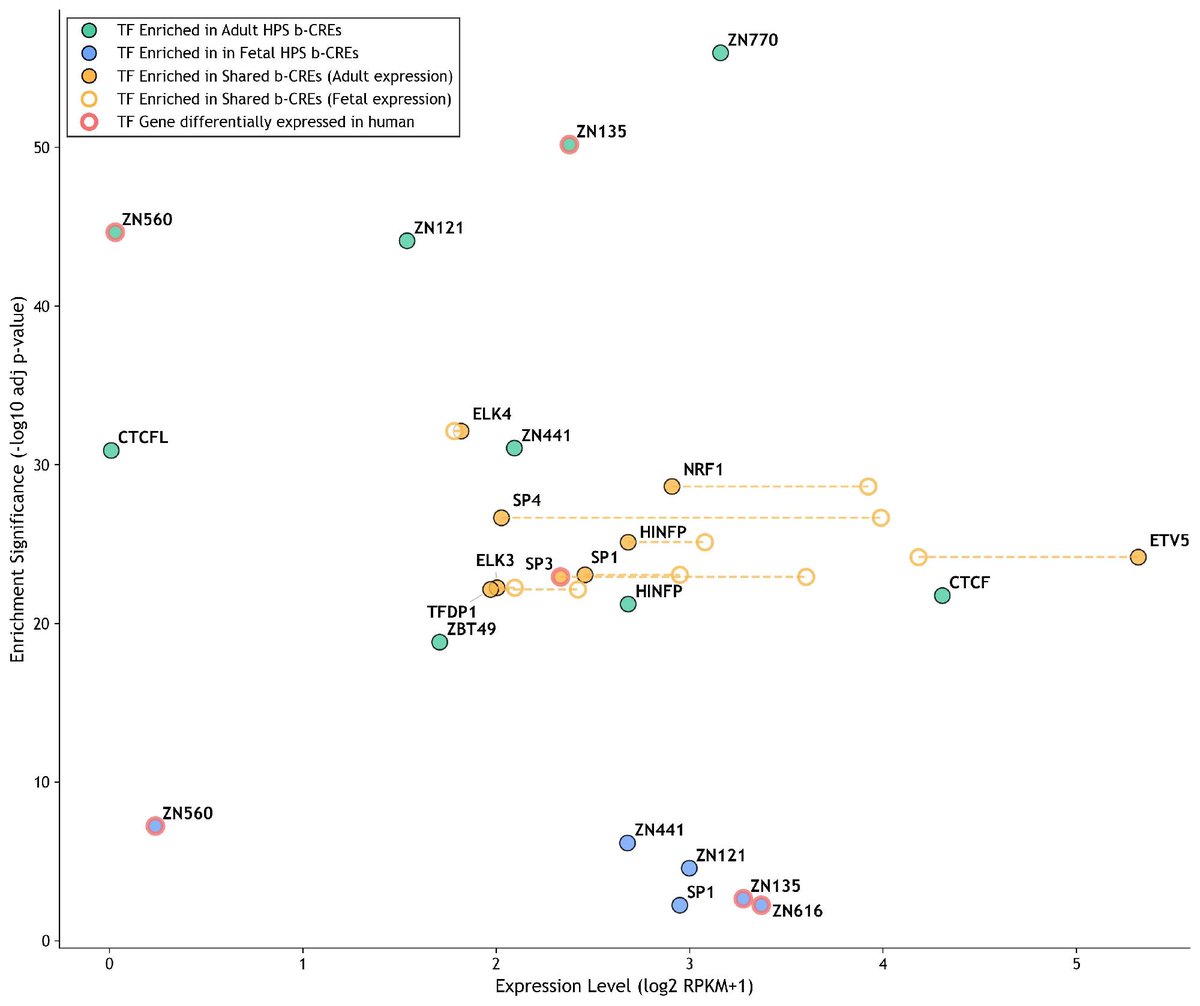 GeneticsSociety's tweet photo. Using 243 primate whole genomes, @HGGAdvances' latest article identifies over 8K brain-active elements that show human-specific positive selection, shape gene expression differences, &amp; are enriched for neuropsychiatric disorders: https://t.co/rBaskpBh57 #ASHG #HumanGenetics https://t.co/j4xq3uoVQ5