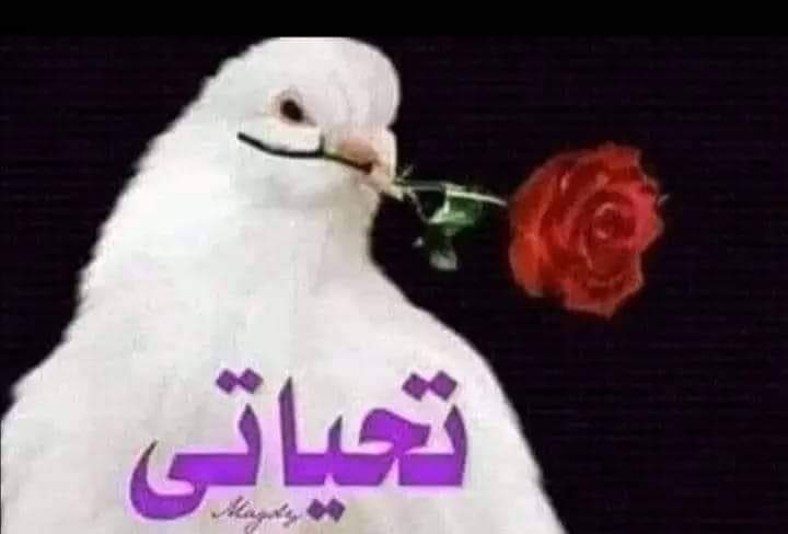 تمر ب لبن tweet media