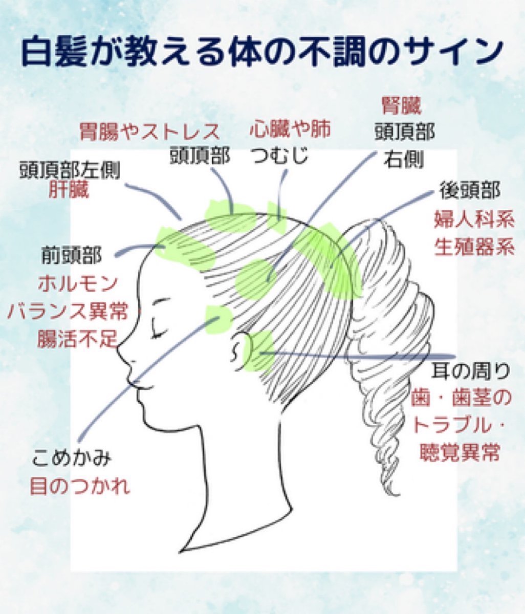 はちみつ MIO / 指リンパ tweet media