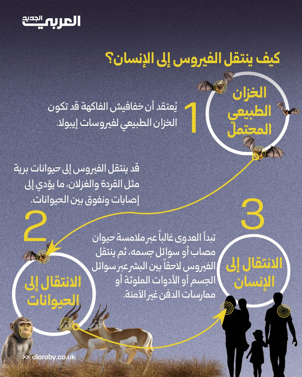 العربي الجديد tweet media