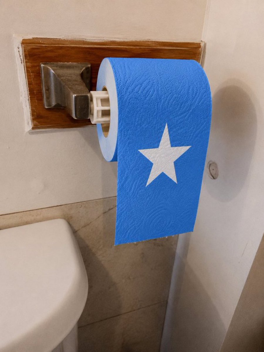 AdaliWarsame's tweet photo. My new toilet paper https://t.co/68ElirSTxm