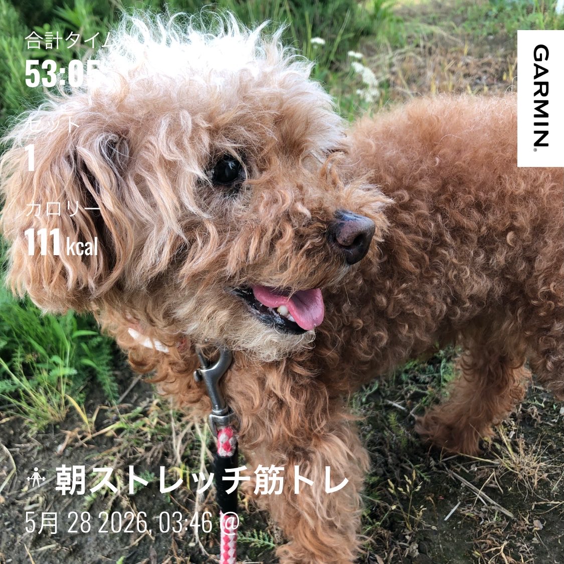 みもざ・次走は2027年に入ってからを予定しています tweet media