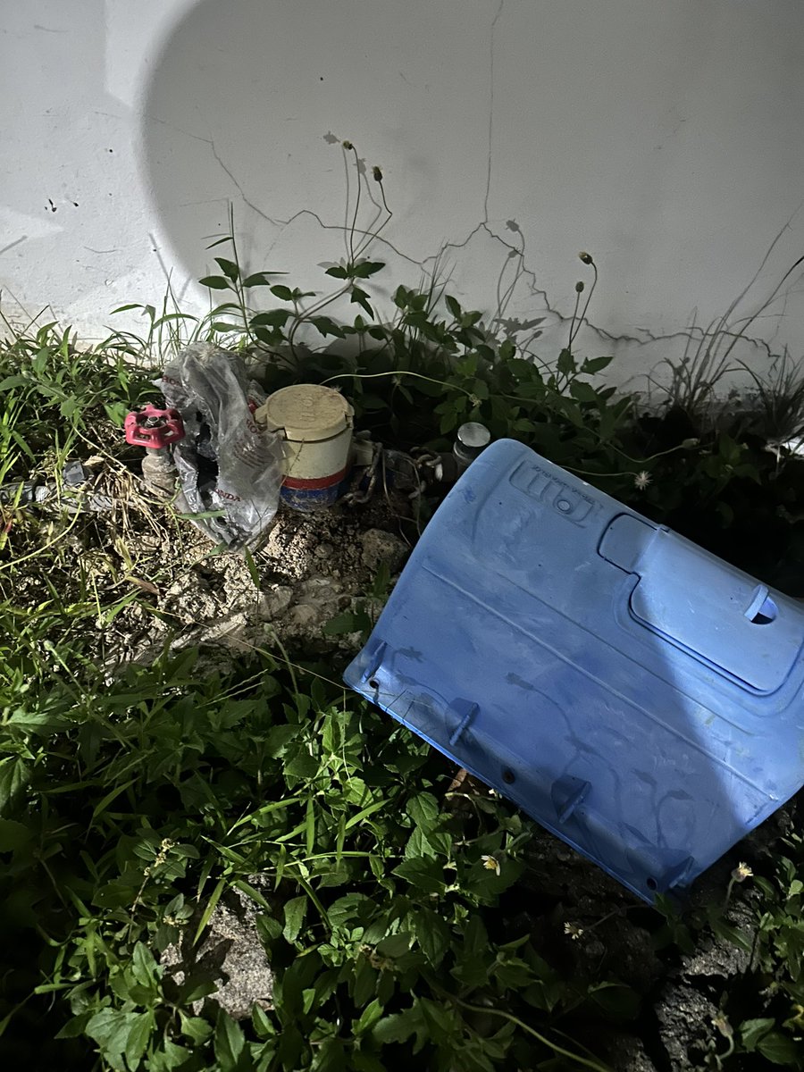 Kebun Stroberi tweet media
