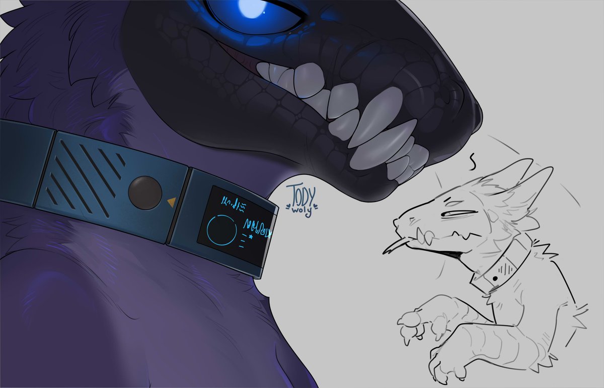 Todywoly tweet picture