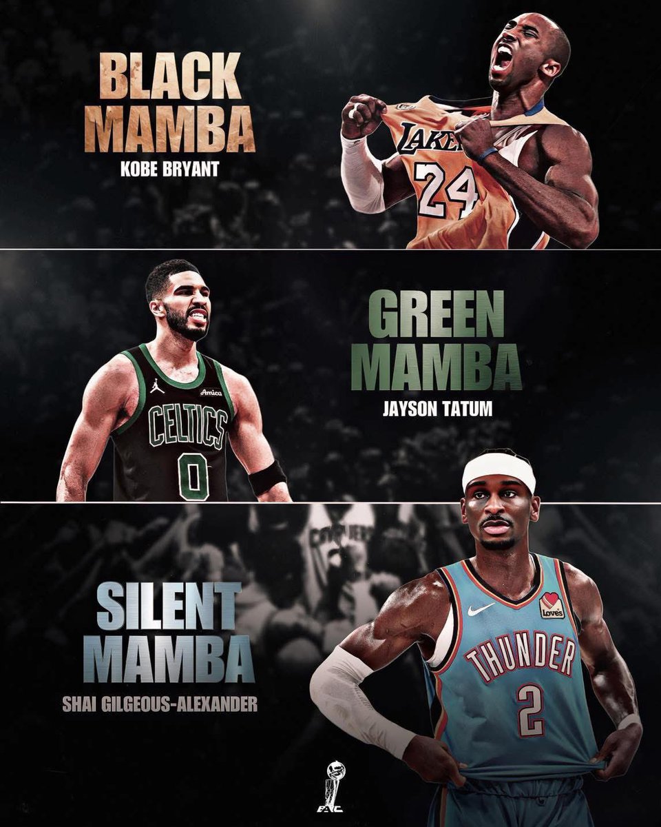 Hoops tweet media