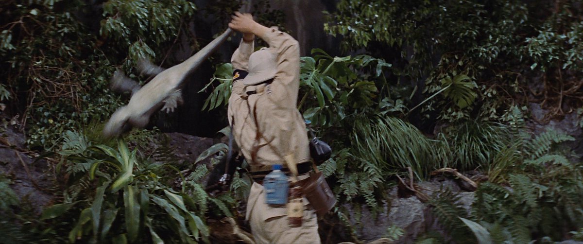 King Kong Perfect Shots tweet media
