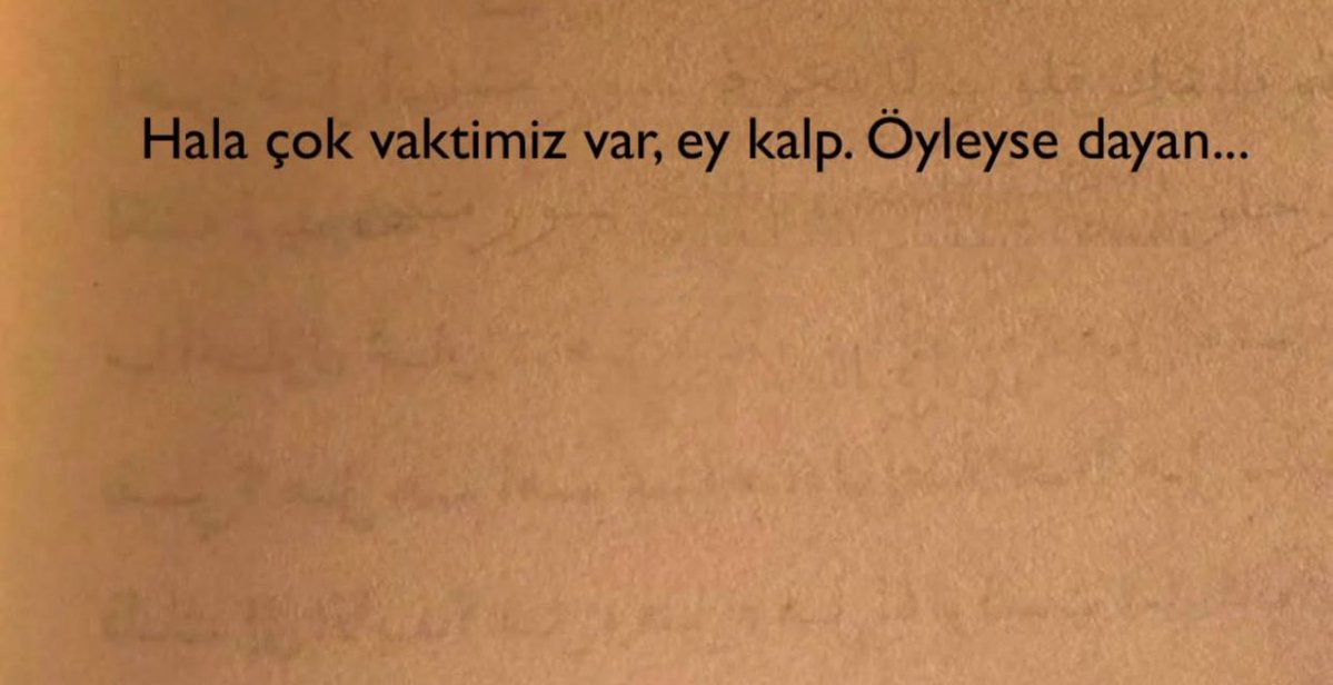 Oktay Zingal tweet media