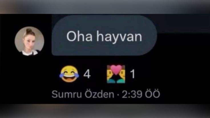 hawargi tweet media