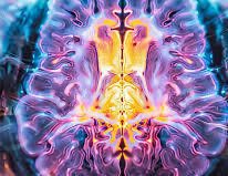 CLAlexandria0's tweet photo. My first experience with DMT and how I lost control mid trip 🧠 

https://t.co/kmGREgtEQy https://t.co/7X72e1S0tw