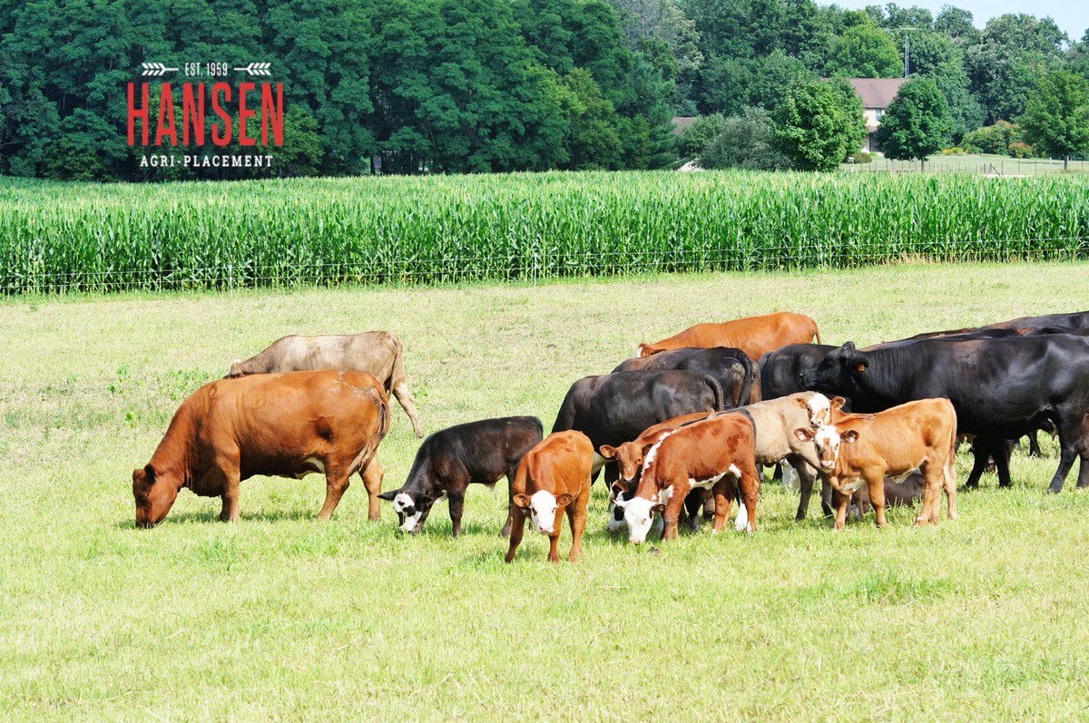 HansenAgriPLCMT's tweet photo. Farm/Ranch Assistant (EH-MZ-11307)
$60,000+/-
Nebraska
#AgJobs #FarmAssistant #RanchHand #FarmRanchAssistant
https://t.co/oaoy0LdJCn https://t.co/lOGM8merXo