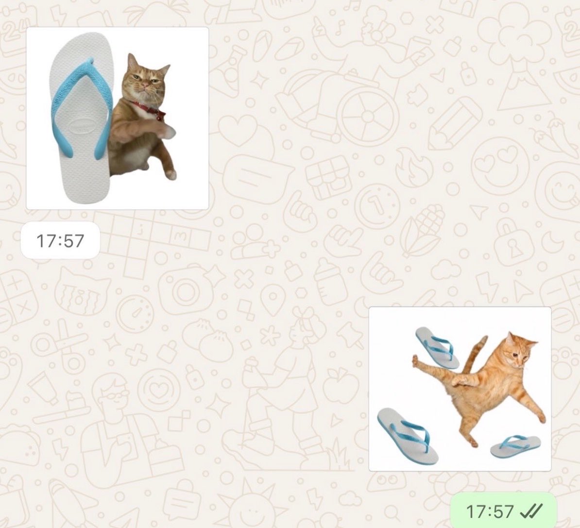 gatinarios's tweet photo. https://t.co/rEx7L77PE4