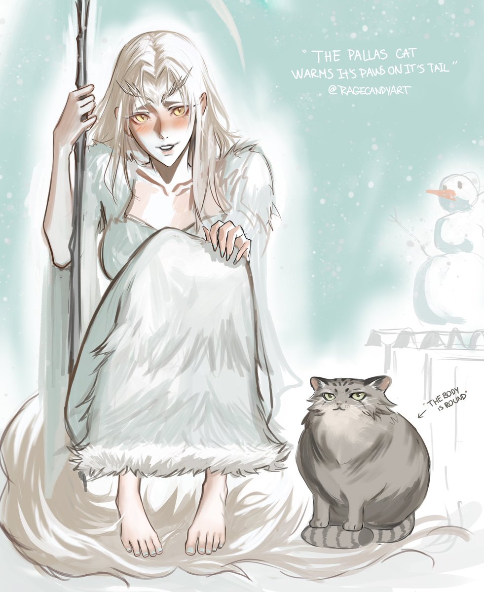 ragecandyart's tweet photo. priscilla again cause pallas cat in my timeline! 🐲🐱
#darksouls https://t.co/vg5e5KAup7