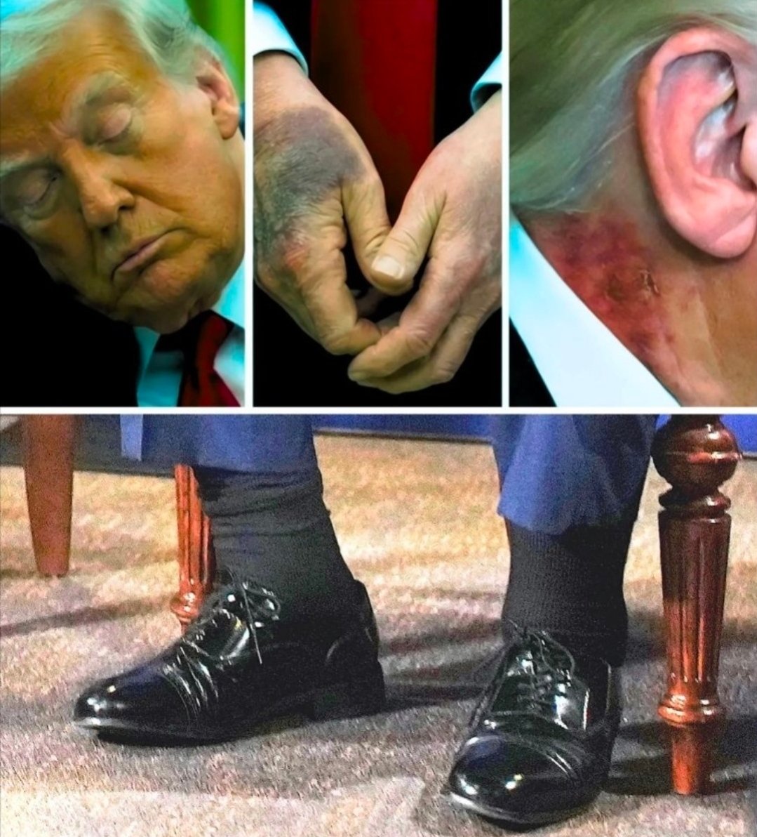 AuntTeaFa1's tweet photo. @catturd2 So you're looking for this type of masculinity? https://t.co/ACMjH3tpyQ