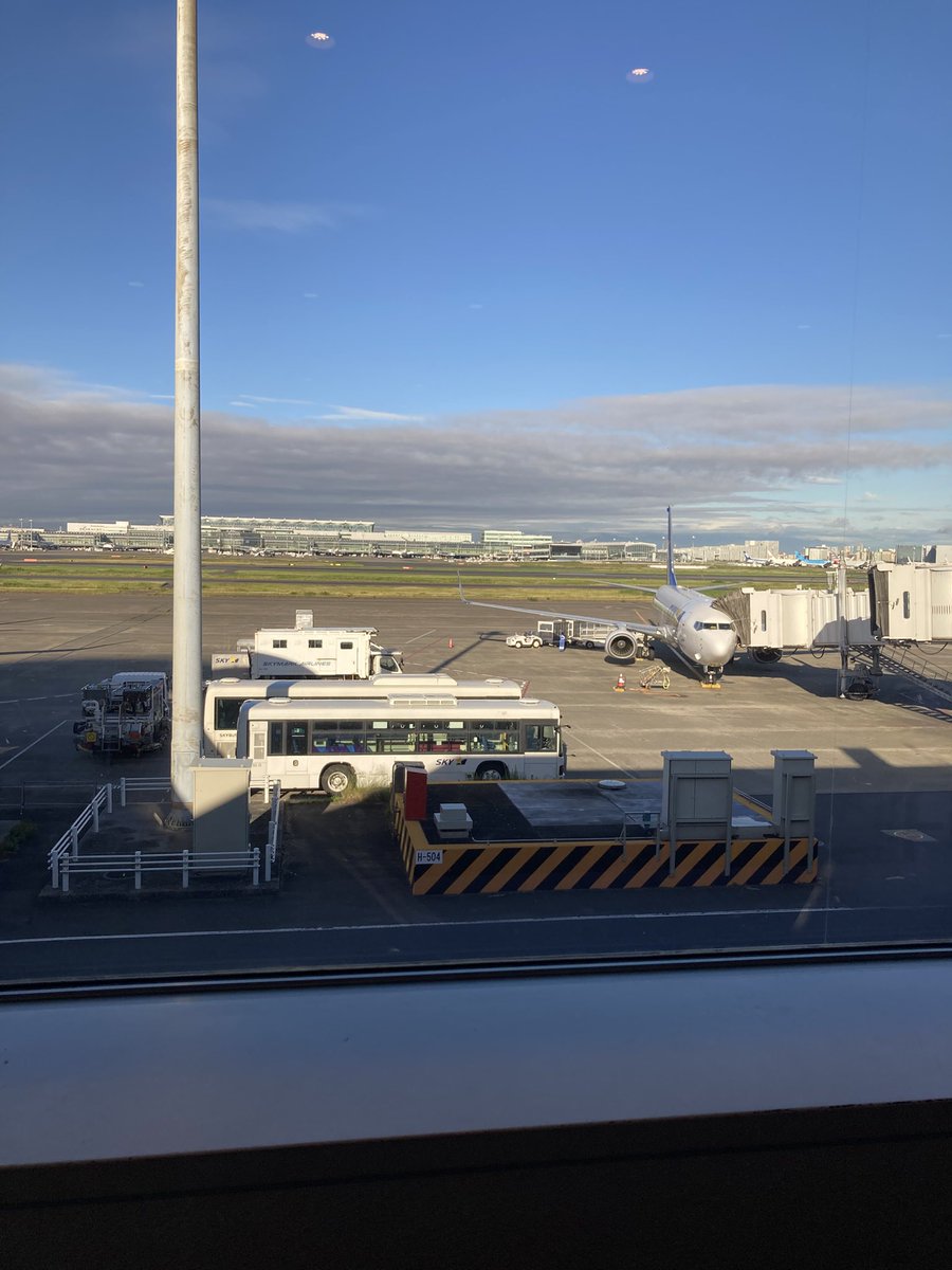 RxG2d's tweet photo. 今日明日お休みとって鹿児島旅🛫 https://t.co/Go7unyRf2K