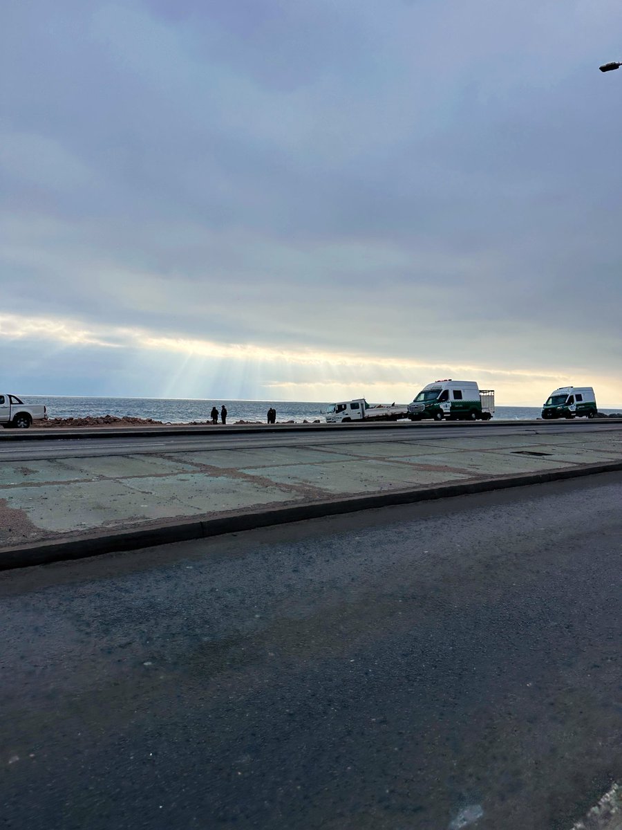 diegocatcvas's tweet photo. Chao rucos en la costanera #Antofagasta https://t.co/I00A3iu4Ma
