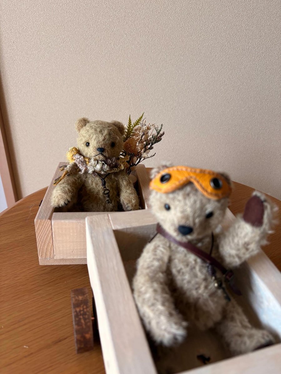 Re'BEAR ささ (@sasa_rebear) / Posts / X