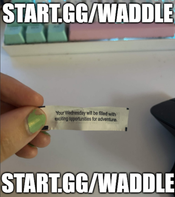 DevDoggX's tweet photo. WADDLE WEDNESDAY IS TONIGHT
Your Wednesday will be filled with exciting opportunities for adventure!

8:00 ET
EC/MW
startgg/waddle https://t.co/yBnbUxt1jV