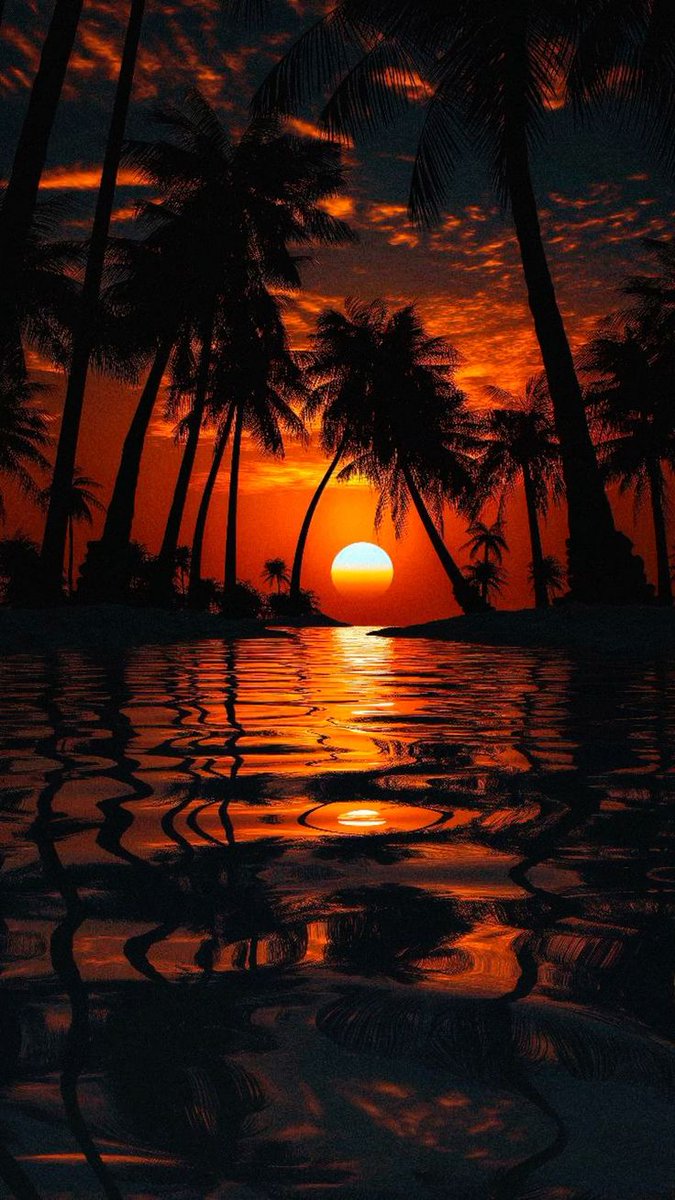 bz4zwe's tweet photo. i dare you to beat my universal wallpaper 🫡 https://t.co/NVdhApk0Iw