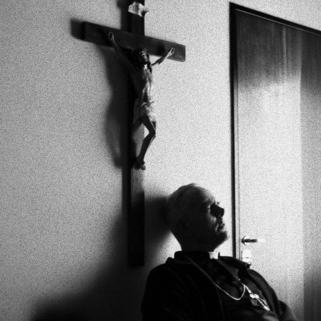 🇻🇦 tweet media