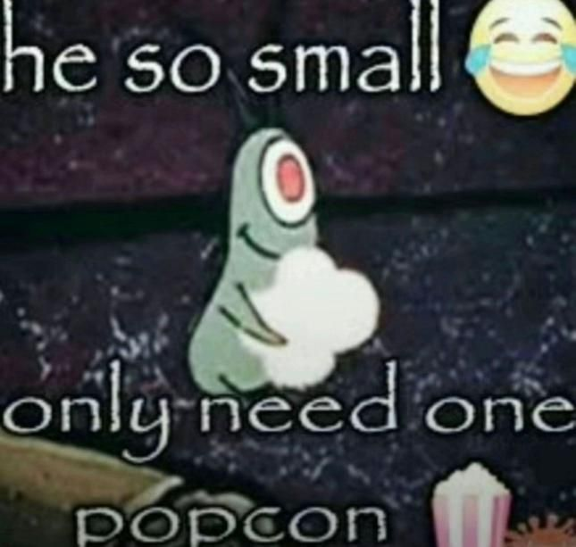 æ tweet media