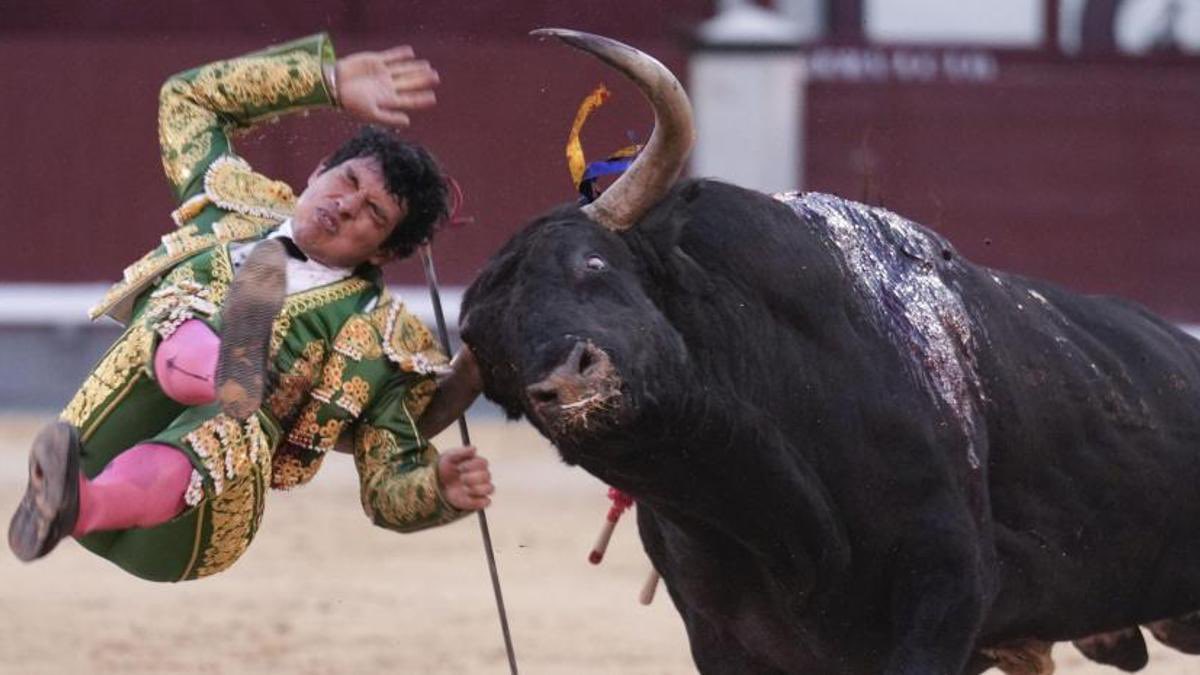 ChavaLopezMT's tweet photo. Poca historia dicen algunos “entendidos” que lejos están de la sensibilidad y sobretodo el reconocimiento a un torero que ha entregado TODO a sangre y fuego… https://t.co/wf0JvOI8ia