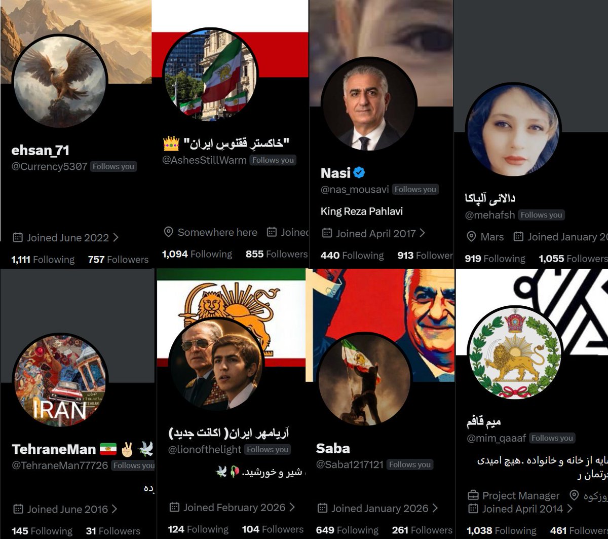 👑 آستین کوتاه tweet media