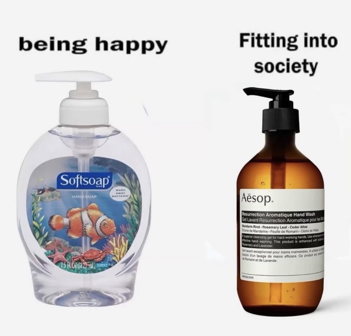 RespectfulMemes's tweet photo. https://t.co/4C14XS1nv6