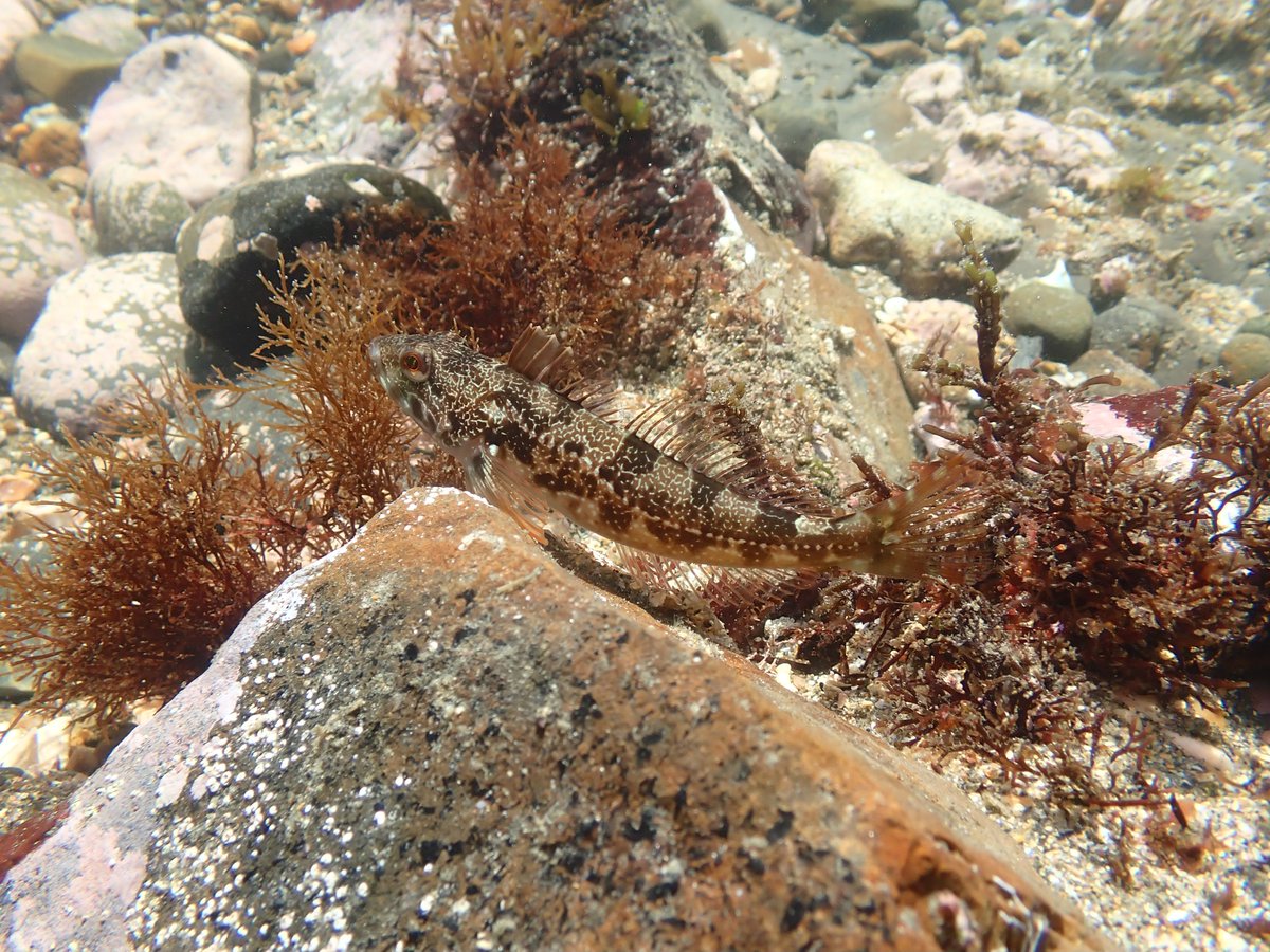yang58661's tweet photo. アナハゼ https://t.co/KHzcWlj8Rz