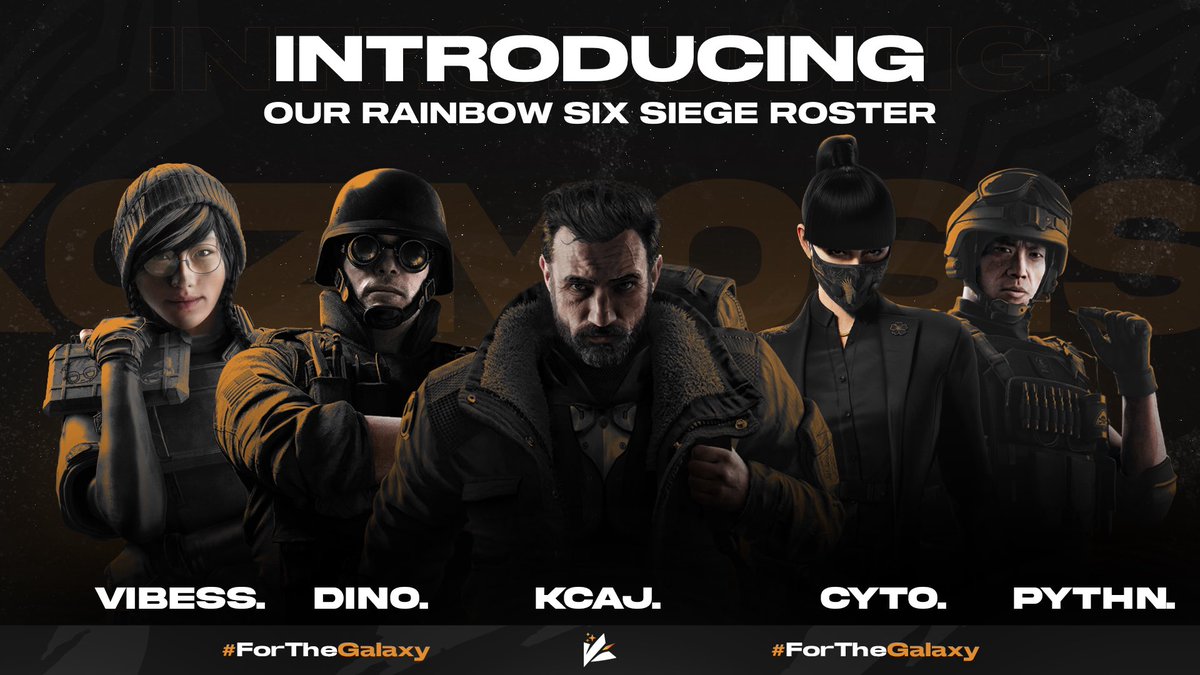 saltyFG_R6S tweet picture