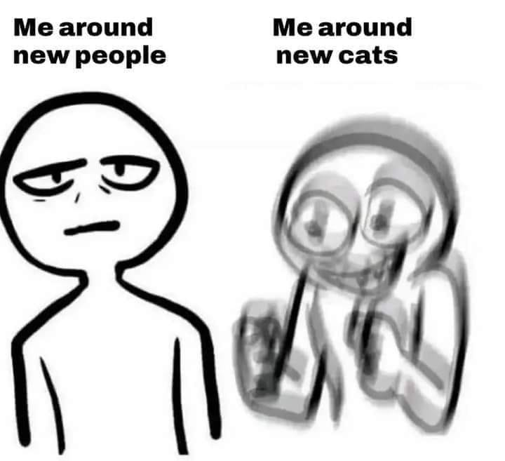 WholesomeMemes tweet media