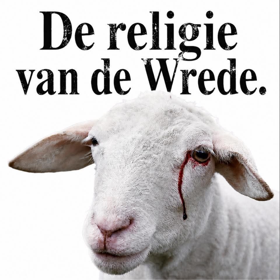 MV0369's tweet photo. Helaas sterven er weer miljoenen kamelen, schapen, geiten, enz. een langzame, gruwelijke dood in naam van Allah. Tijd dat dit volk zichzelf eens in de spiegel aankijkt.

Gelukkig doet de @PartijvdDieren hier geen klote aan, behalve toejuichen en mee eten.

#Offerfeest #Islam https://t.co/YOBEmSD6WR